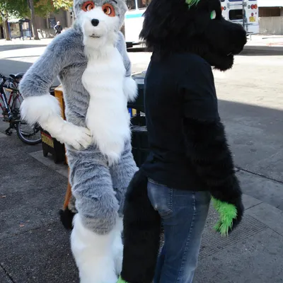 Dax and Ichi debuting on Halloween 2006