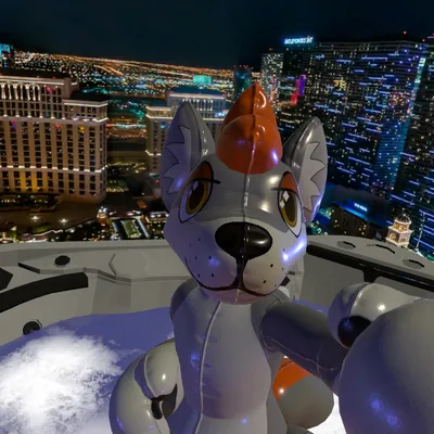 Dax's pool toy form